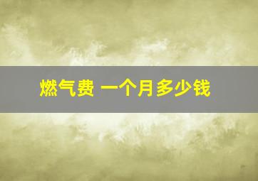 燃气费 一个月多少钱